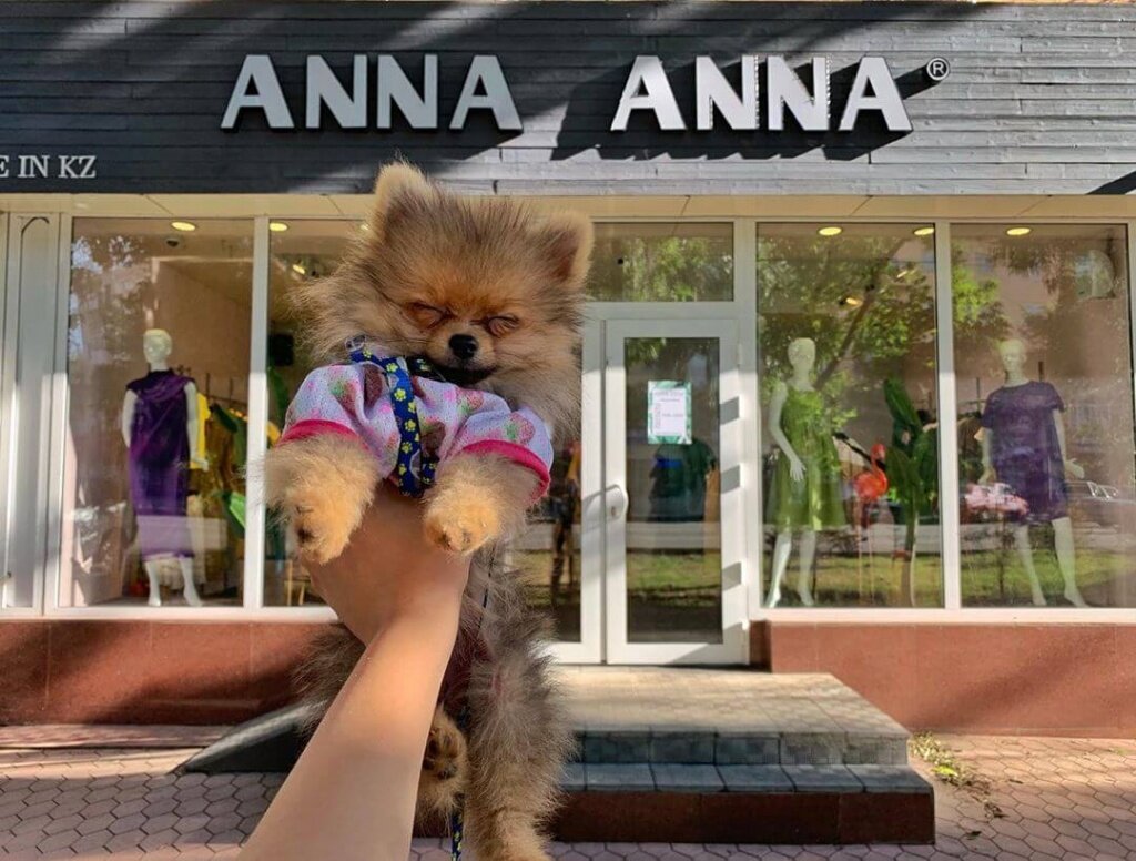 Shop da anna сибирский просп 11 фото Больше не работает: Anna Anna, магазин одежды, Тараз, улица Казыбек би, 103 - Ян