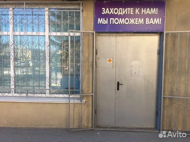 Taggsm ул лермонтова 193а ставрополь фото Продам шотландских плюшевых котят " Доска бесплатных объявлений. Купить продать 