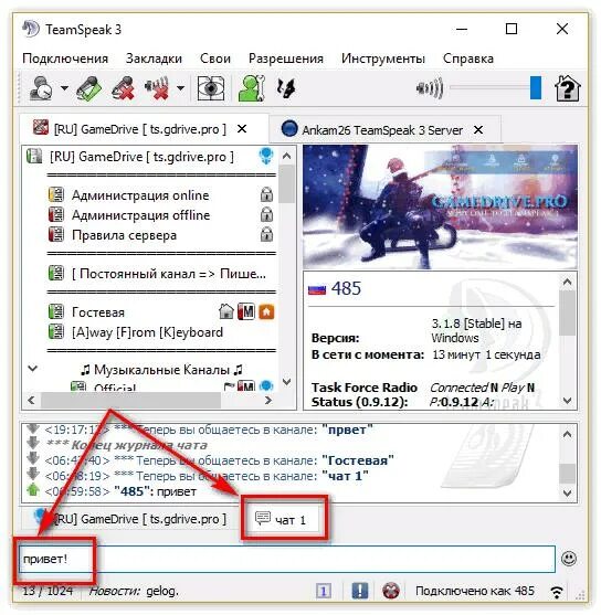 Teamspeak 5 нет подключения к интернету TeamSpeak - что это за программа и нужна ли она?
