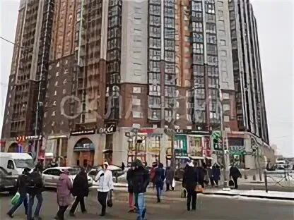 Temed коломяжский просп 15 корп 1 фото сниму - Снять коммерческую недвижимость у метро Пионерская, Удельная: офис, скла