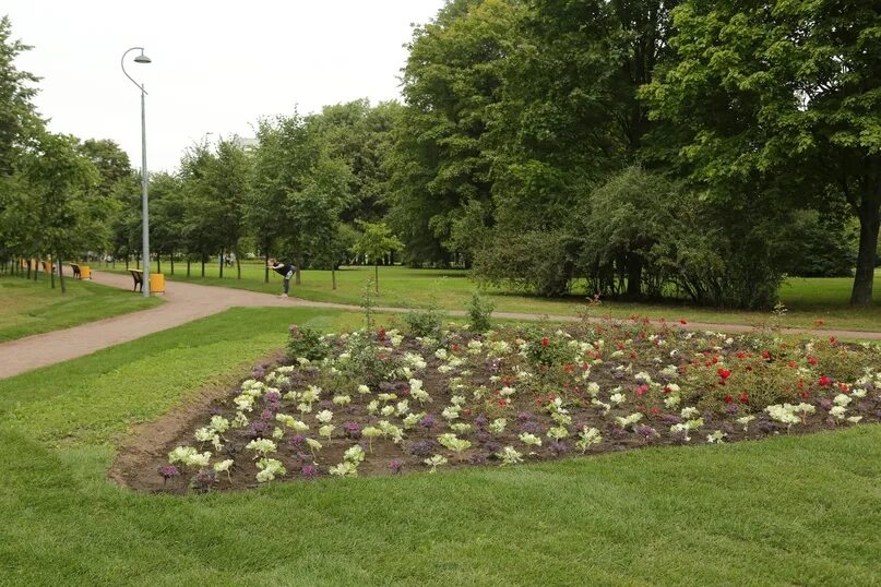 The park пискаревский просп 6 фото Доброе утро. 2023 Калининский район Калининский online ВКонтакте