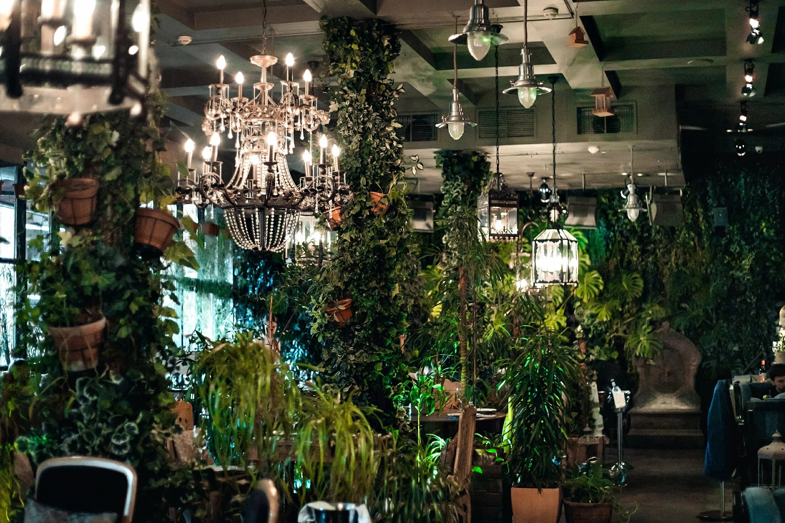 The сад terrace трудовая ул 2б фото Зе сад CoffMachines.ru