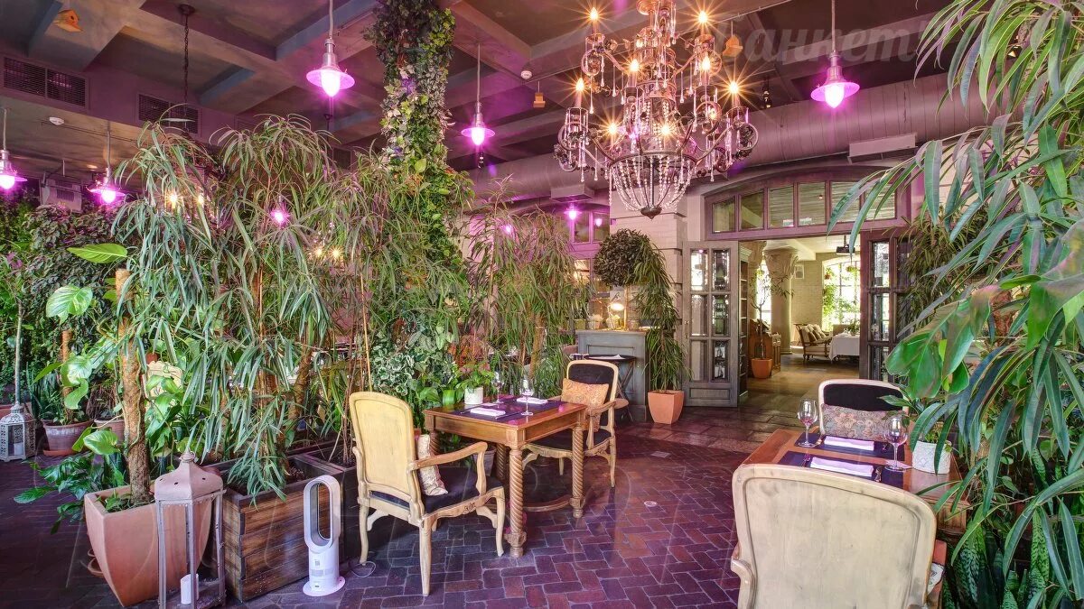 The сад terrace трудовая ул 2б фото Оранжерея - The Сад банкетный зал до 180 человек: фото, отзывы, меню