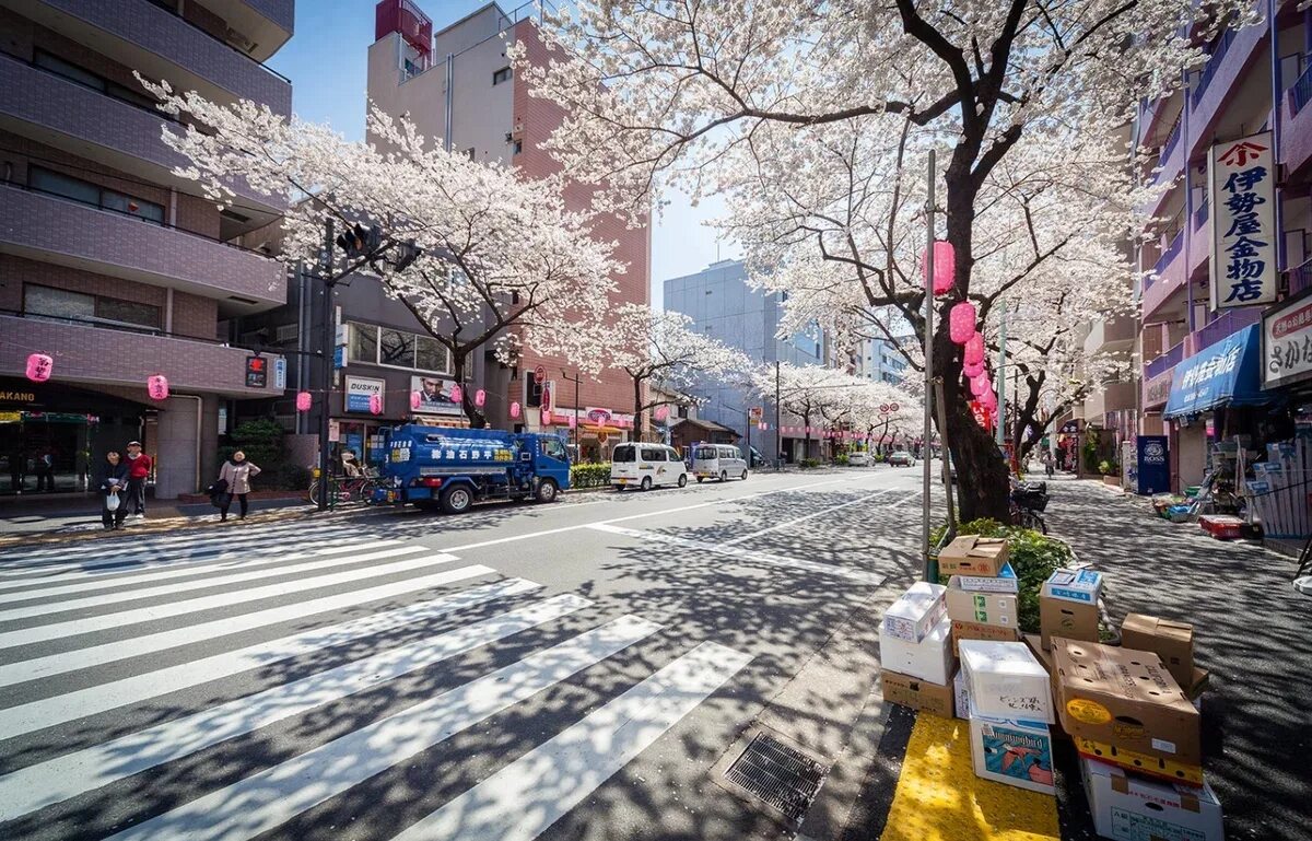 Tokio ул победы 54 1 фото У японских улиц нет названия. Как же тогда ориентируются японцы? ВКонтакте