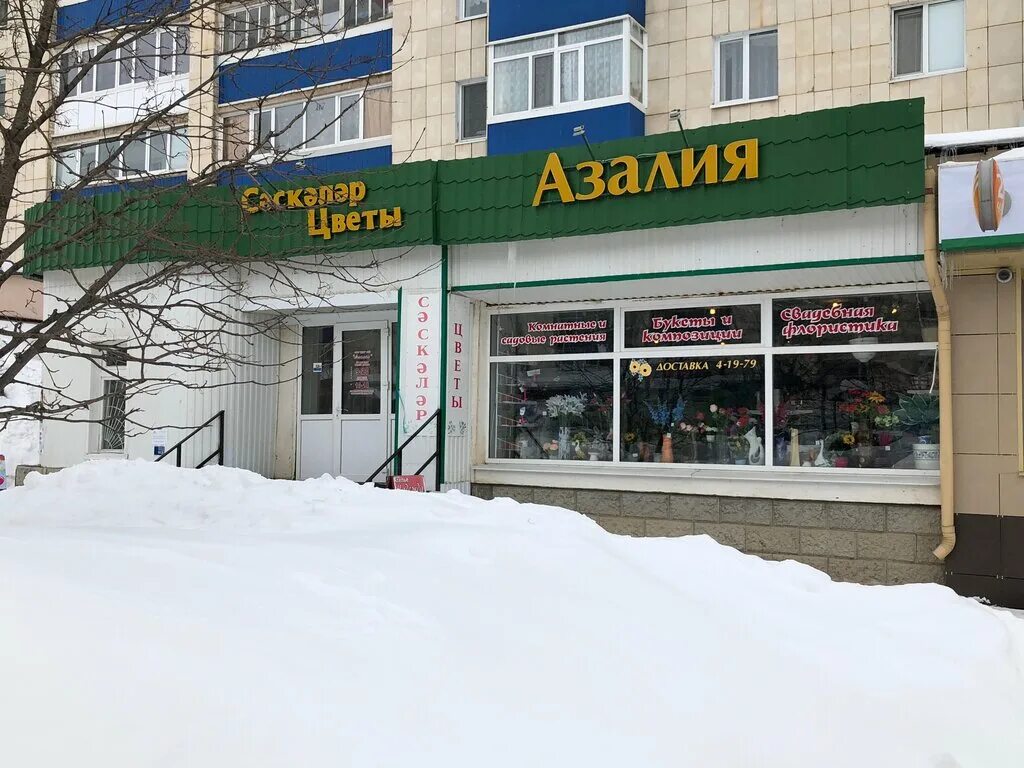 Tokki красная ул 134 фото Больше не работает: Азалия, магазин цветов, Республика Башкортостан, Белебей, Кр