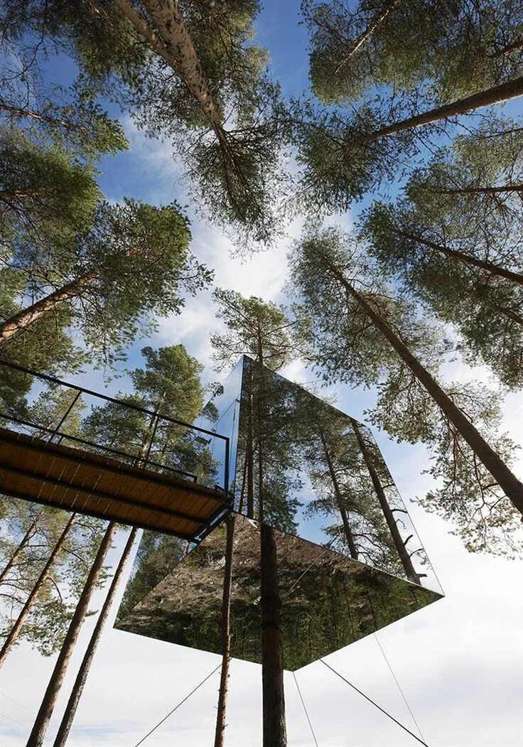 Tree to tree приморское ш 427е фото An Urban Village Tree house designs, Tree house, Architecture