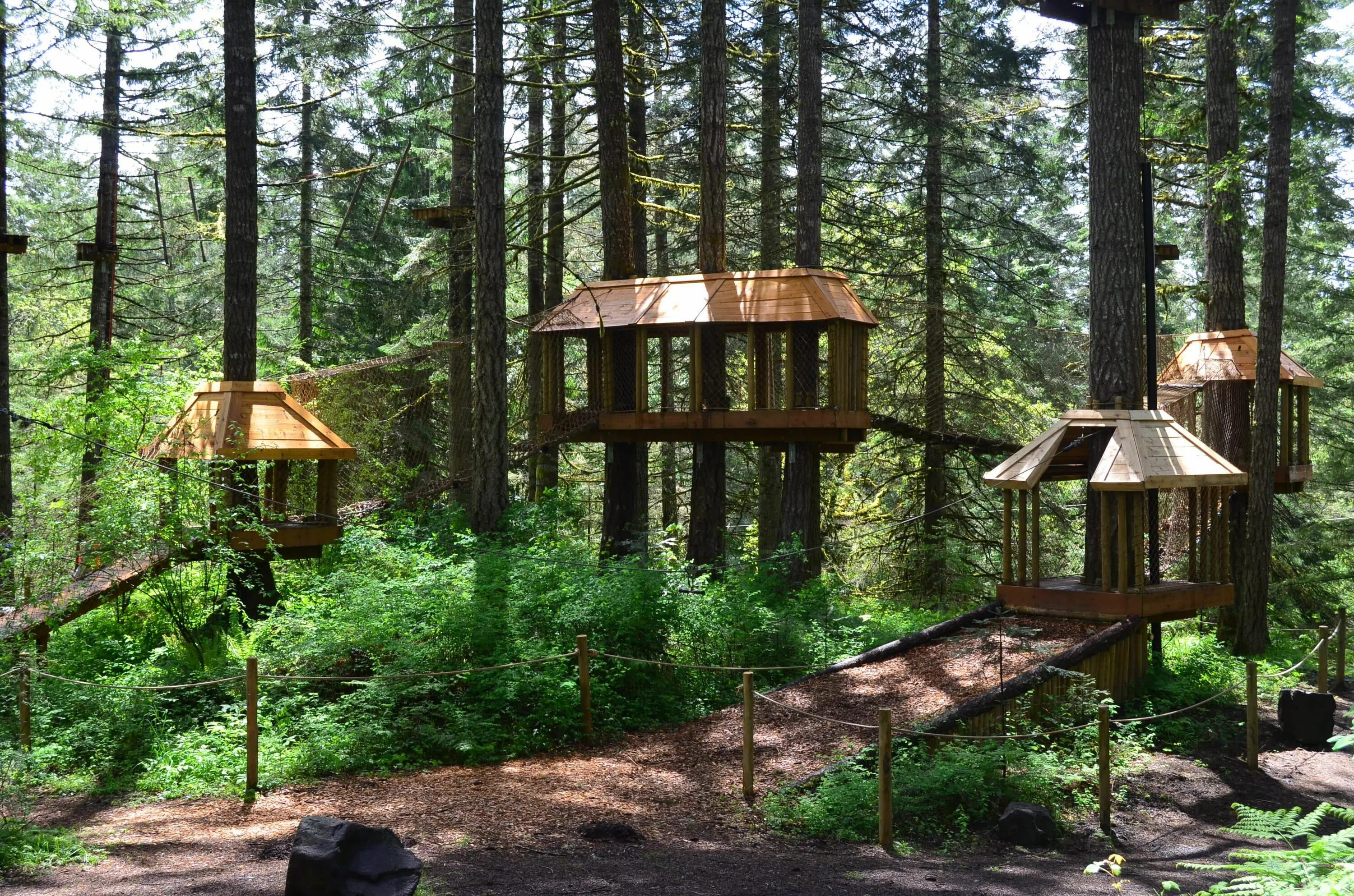 Tree to tree приморское ш 427е фото Adventure Village - Gaston, OR - Tree to Tree Adventure Park Adventure park, Ore