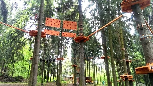 Tree to tree приморское ш 427е фото Фотографии со страницы сообщества "TreeToTree Тритутри - верёвочный парк в Репин