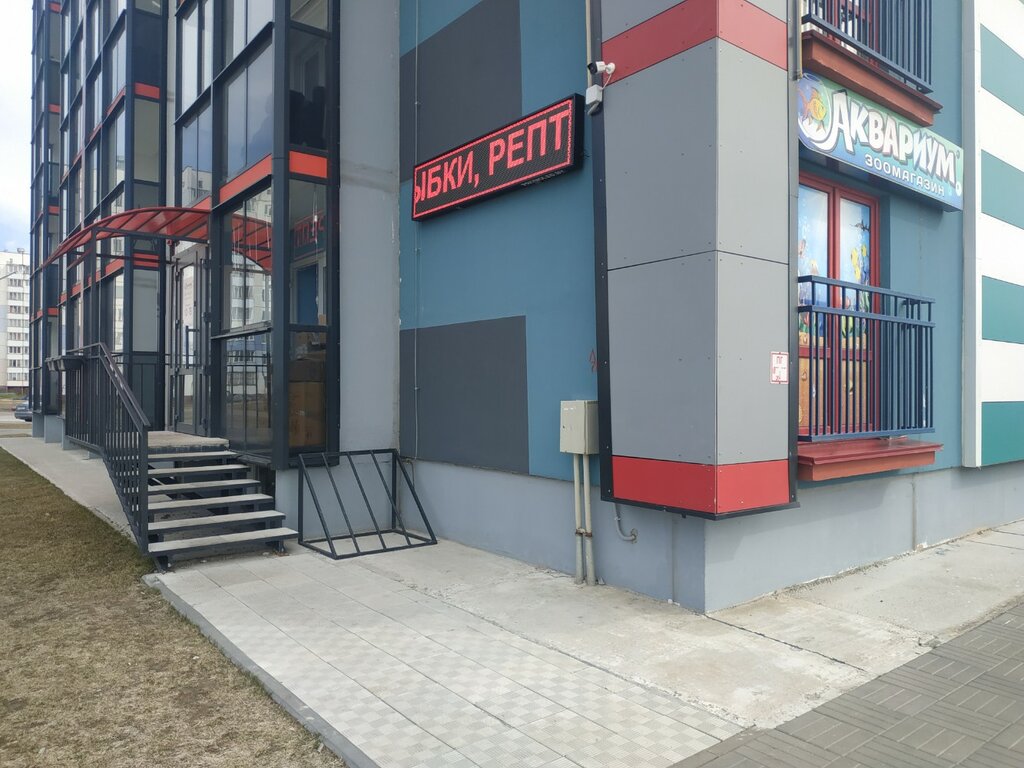 Ufit ул генерала иванова 1 фото Аквариум, pet shop, Viciebsk, vulica Hienierala Ivanoŭskaha, 12 - Yandex Maps