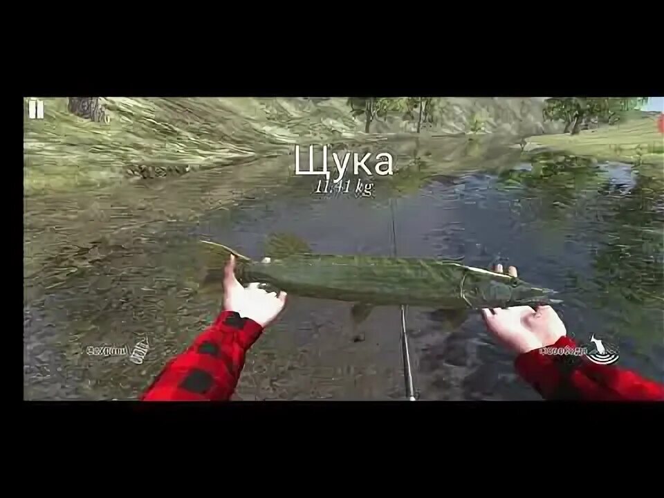 Ultimate fishing simulator на что ловить угря Прохождение игры Ultimate Fishing Simulator поймал щуку на 20 кг# - YouTube