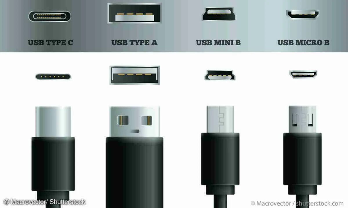 Usb type c подключение к телевизору Innovation Vegetarier Fälschung lightning usb c unterschied Gestell Zyklop Stape