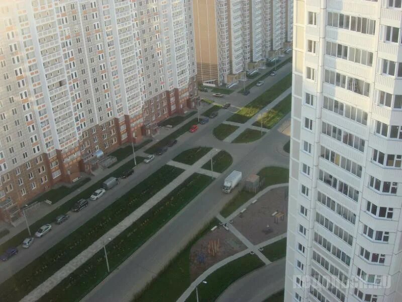 Vanmax fit ул генерала стрельбицкого 1 фото Кузнечики": диалог с жителями - лучший способ услышать друг