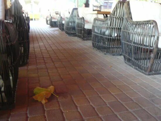 Veranda просп расула гамзатова 18 махачкала фото Люблю - отзыв о Veranda, Махачкала, Россия - Tripadvisor