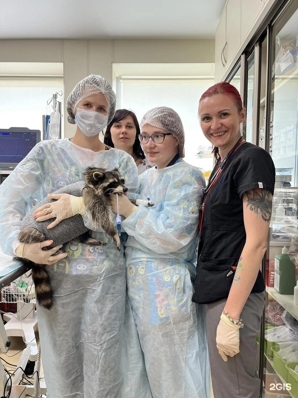 Vet 39 колхозная ул 2д калининград фото Вет 39 колхозная 49 фото - ZooClever.ru