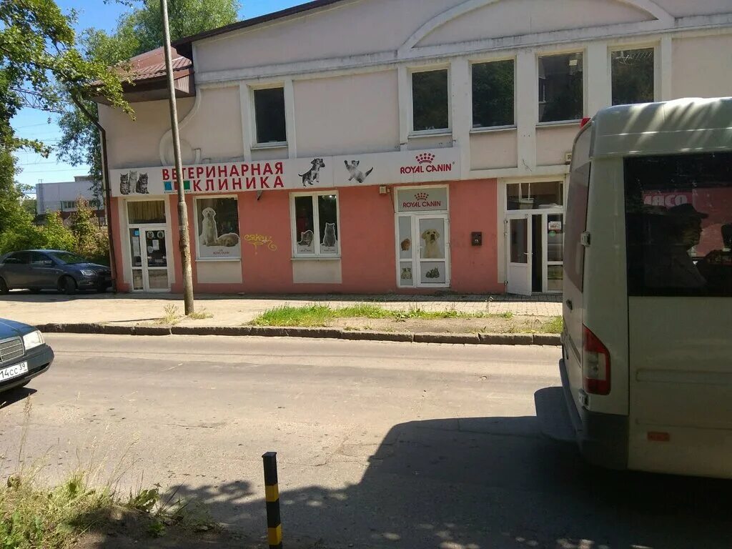 Vet 39 колхозная ул 2д калининград фото Больше не работает: Vet39, офис организации, Калининград, Колхозная улица, 2Д - 