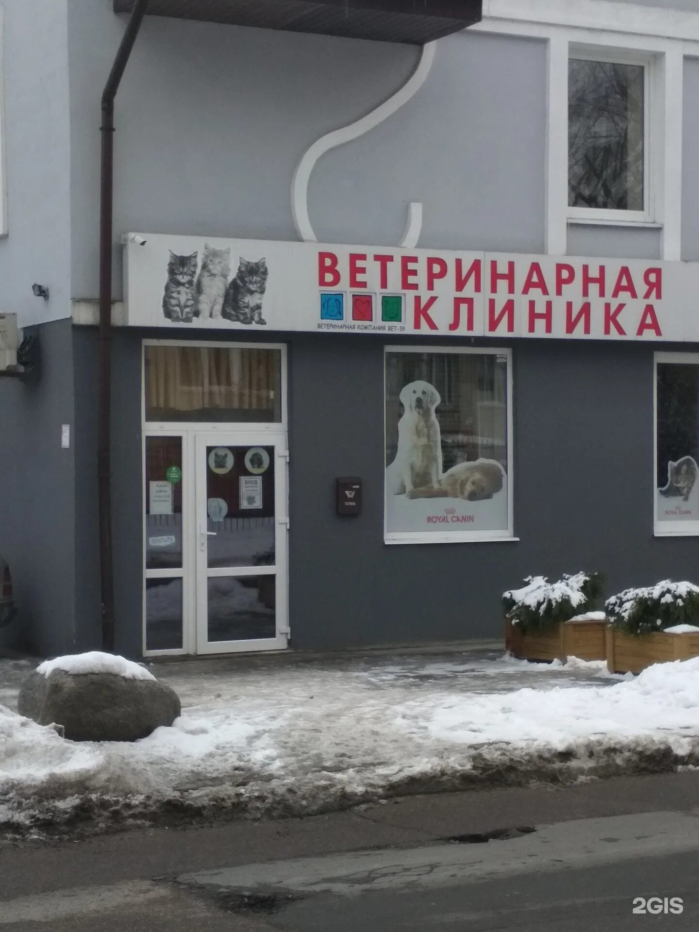 Vet 39 колхозная ул 2д калининград фото Вет 39 колхозная 49 фото - ZooClever.ru