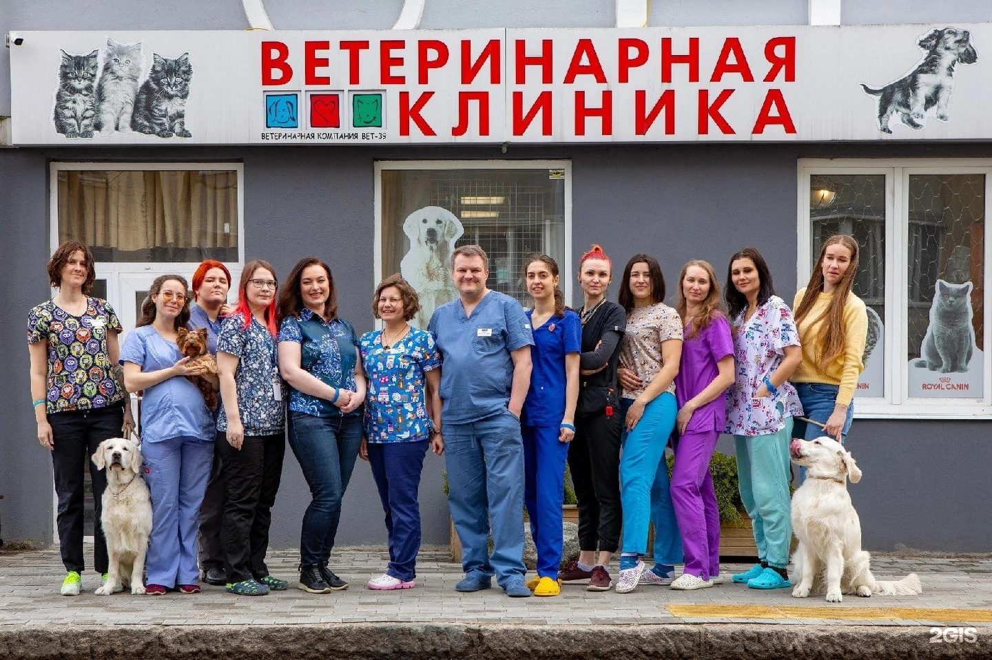 Vet 39 колхозная ул 2д калининград фото Vet-39, ветеринарный центр, Колхозная, 2д, Калининград - 2ГИС
