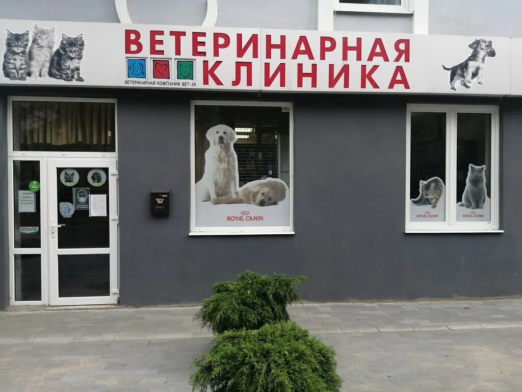 Vet 39 колхозная ул 2д калининград фото Vet-39, ветеринарная клиника, Колхозная ул., 2Д, Калининград - Яндекс Карты