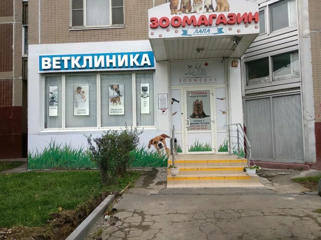 Vet help ленинский просп 203а фото Ветеринарная клиника ЗооМедик, ветеринарная клиника, ул. Борисовские Пруды, 16, 
