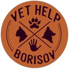 Vet help ленинский просп 203а фото VET_HELP_BORISOV ВЕТЕРИНАРНАЯ КЛИНИКА. 2024 ВКонтакте