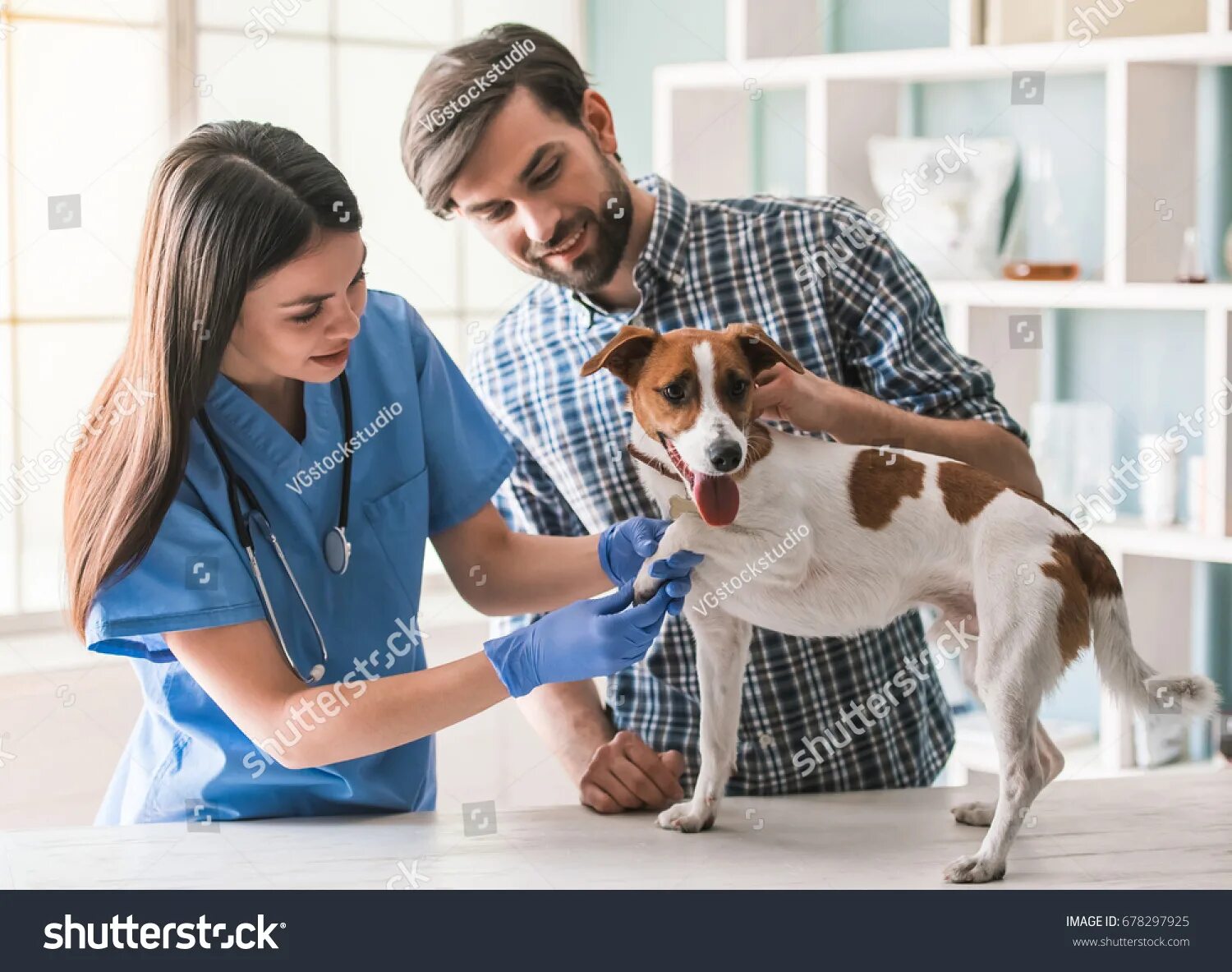 Vet help ленинский просп 203а фото 109,042 Vet Hospital Images, Stock Photos & Vectors Shutterstock