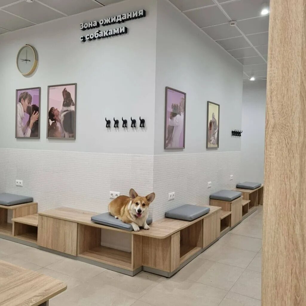 Vet like ул мира 253 1 фото Ветеринарная клиника Vet Union, ветеринарная клиника, просп. Вернадского, 39, Мо