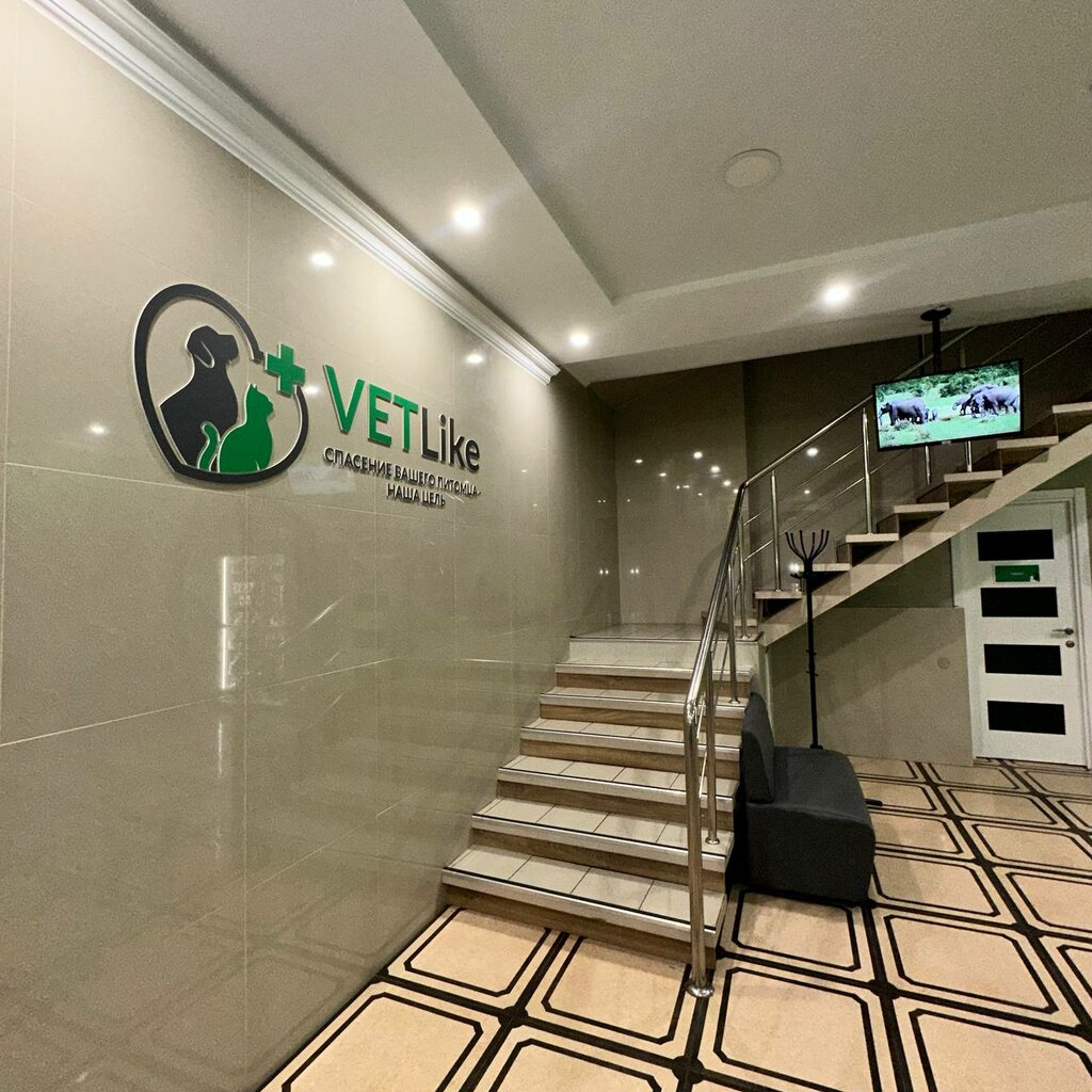 Vet like ул мира 253 1 фото Панорама: Vet like, ветеринарная клиника, ул. Мира, 253/1, Ставрополь - Яндекс К