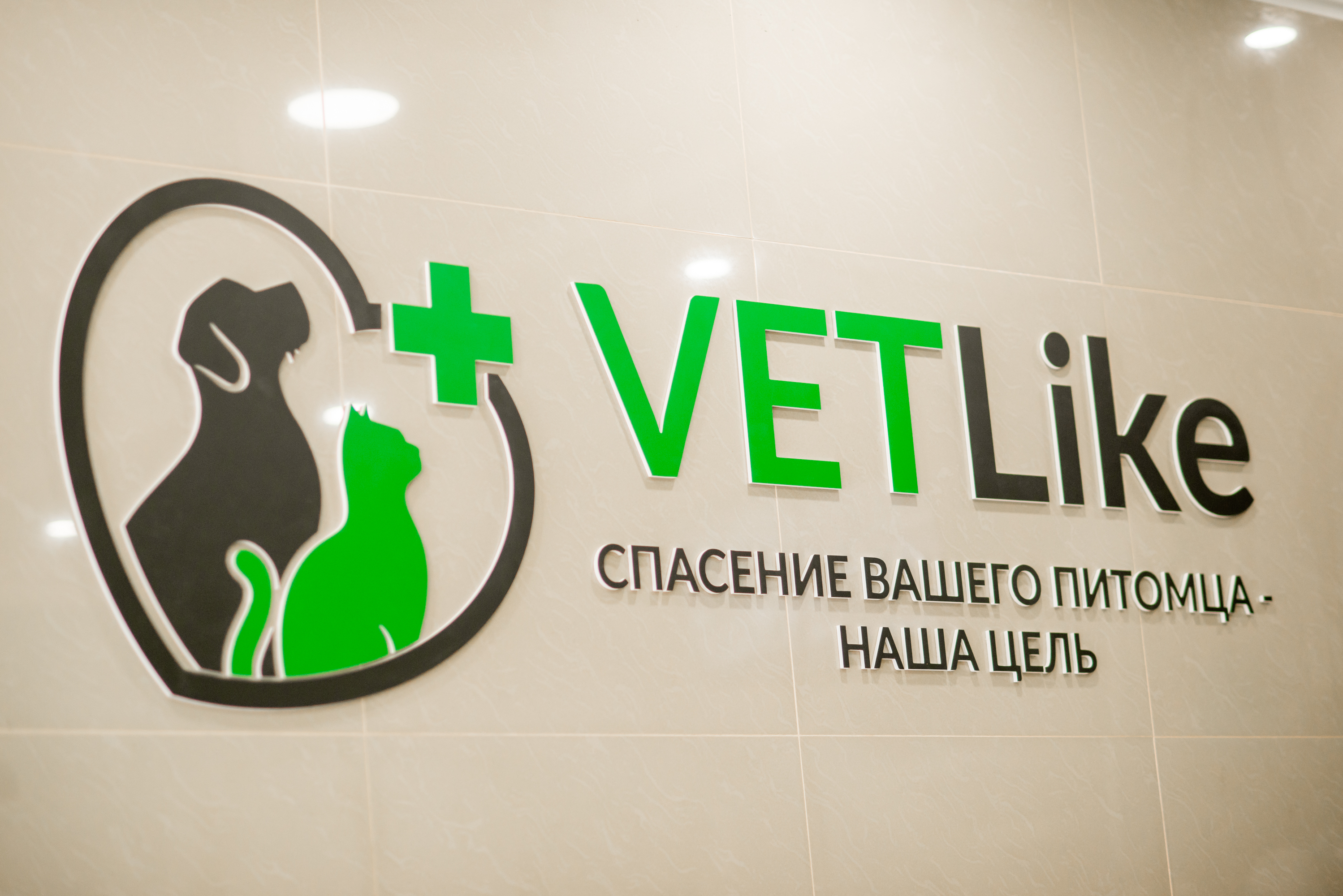 Vet like ул мира 253 1 фото Фото: Vet like, ветеринарная клиника, ул. Мира, 253/1, Ставрополь - Яндекс Карты