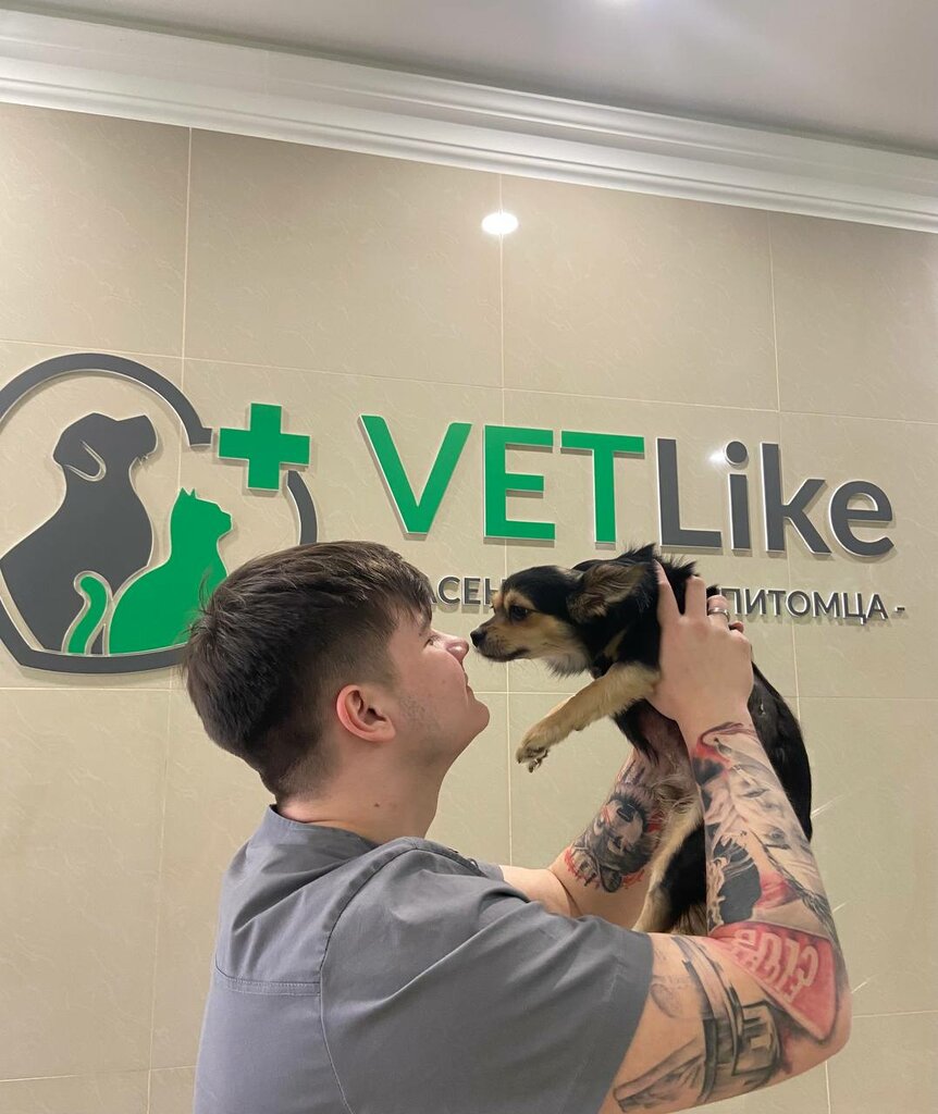 Vet like ул мира 253 1 фото Панорама: Vet like, ветеринарная клиника, ул. Мира, 253/1, Ставрополь - Яндекс К