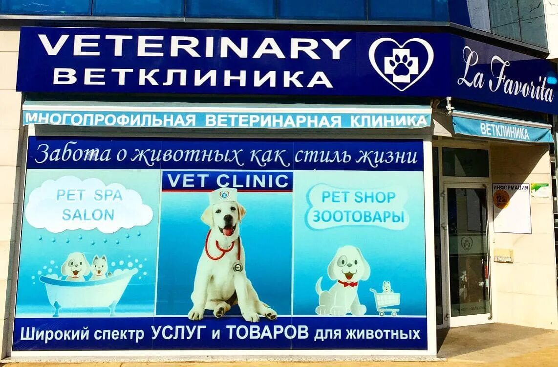 Vet like ул мира 253 1 фото Ветклиники москва адреса и телефоны: найдено 83 изображений