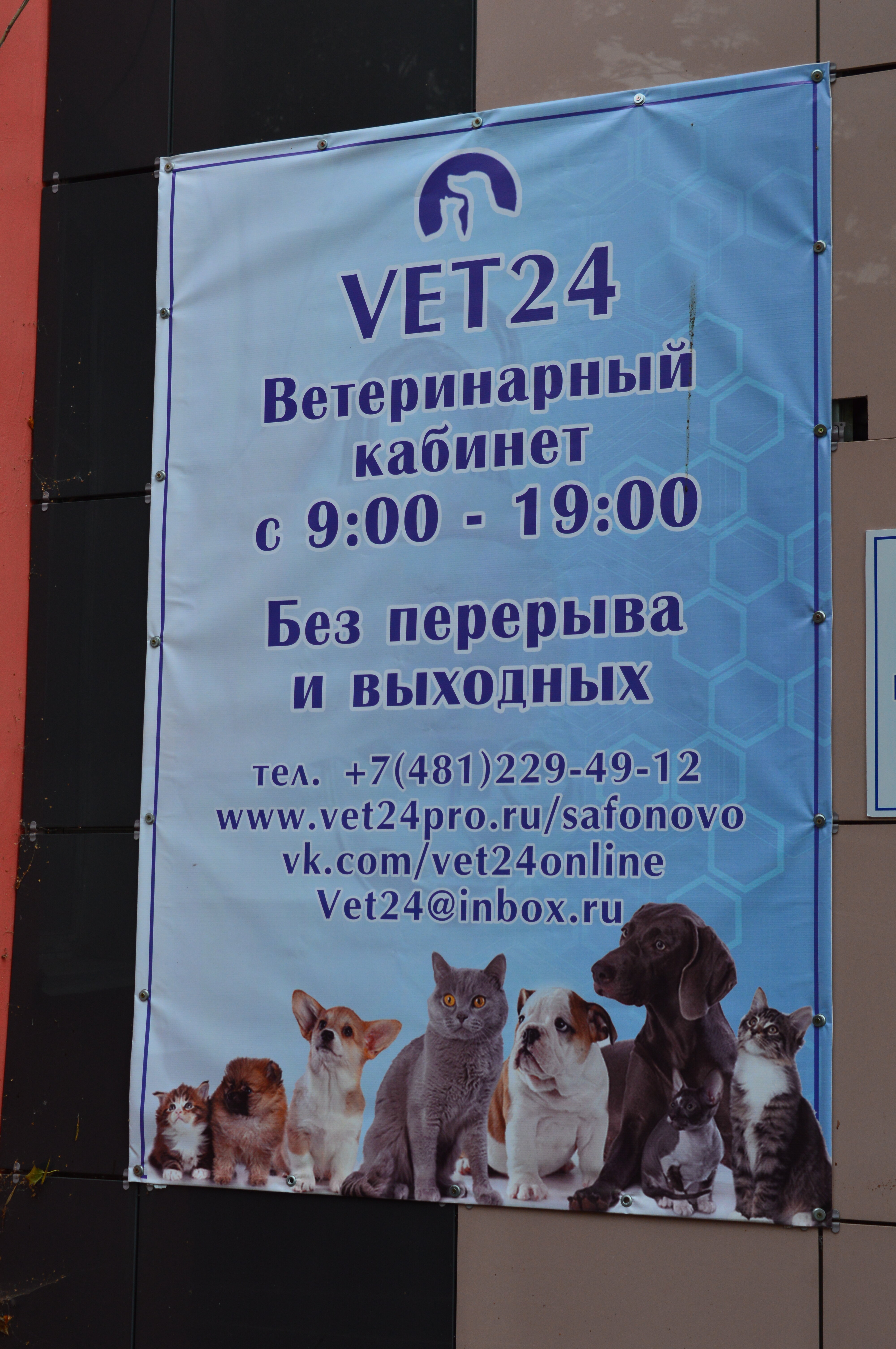 Vet24 ул энгельса 3 фото Фото: Vet24, ветеринарная клиника, ул. Энгельса, 3, Сафоново - Яндекс Карты