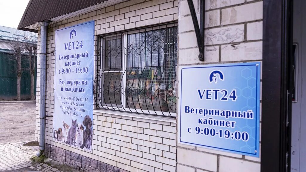Vet24 ул энгельса 3 фото Vet24, ветеринарная клиника, ул. Рокоссовского, 48А, Ярцево - Яндекс Карты