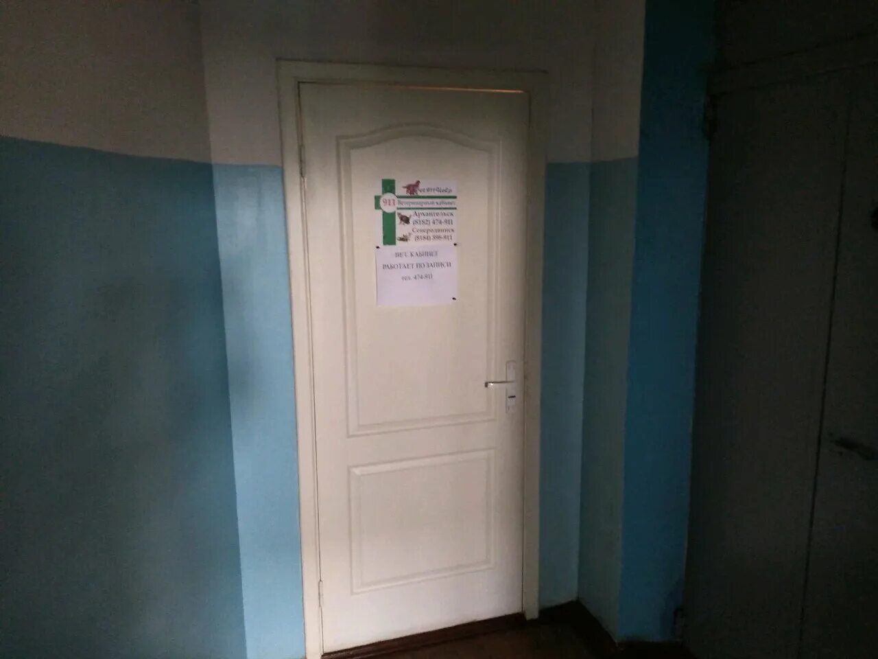 Vet911help первомайская ул 8 фото Отзывы о "Vet911Help" Россия, Архангельск, Карпогорская улица - Яндекс.Карты