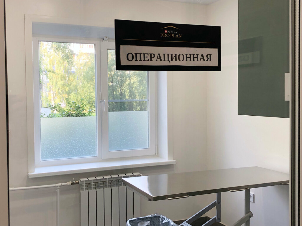 Vet911help первомайская ул 8 фото Vet911help, ветеринарная клиника, Первомайская ул., 8, Архангельск - Яндекс Карт