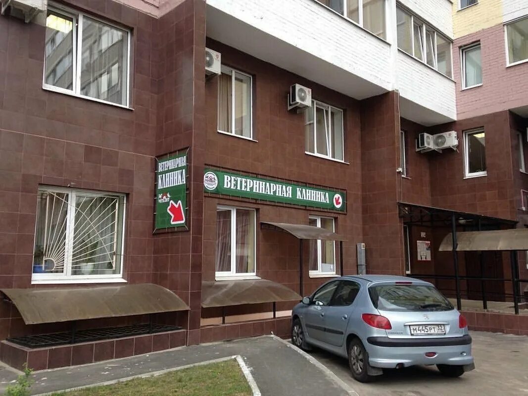 Vetart транспортная ул 32 брянск фото VetArt, ветеринарная клиника на Транспортной улице в Брянске - отзывы, фото, цен