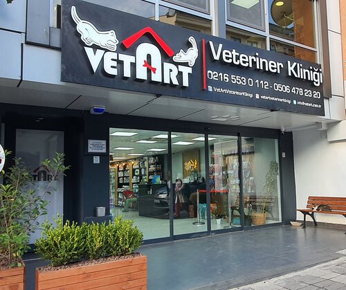 Vetart транспортная ул 32 брянск фото Vetart Veterinary Clinic, ветеринарная клиника, Cumhuriyet Cad., No:57, Üsküdar,