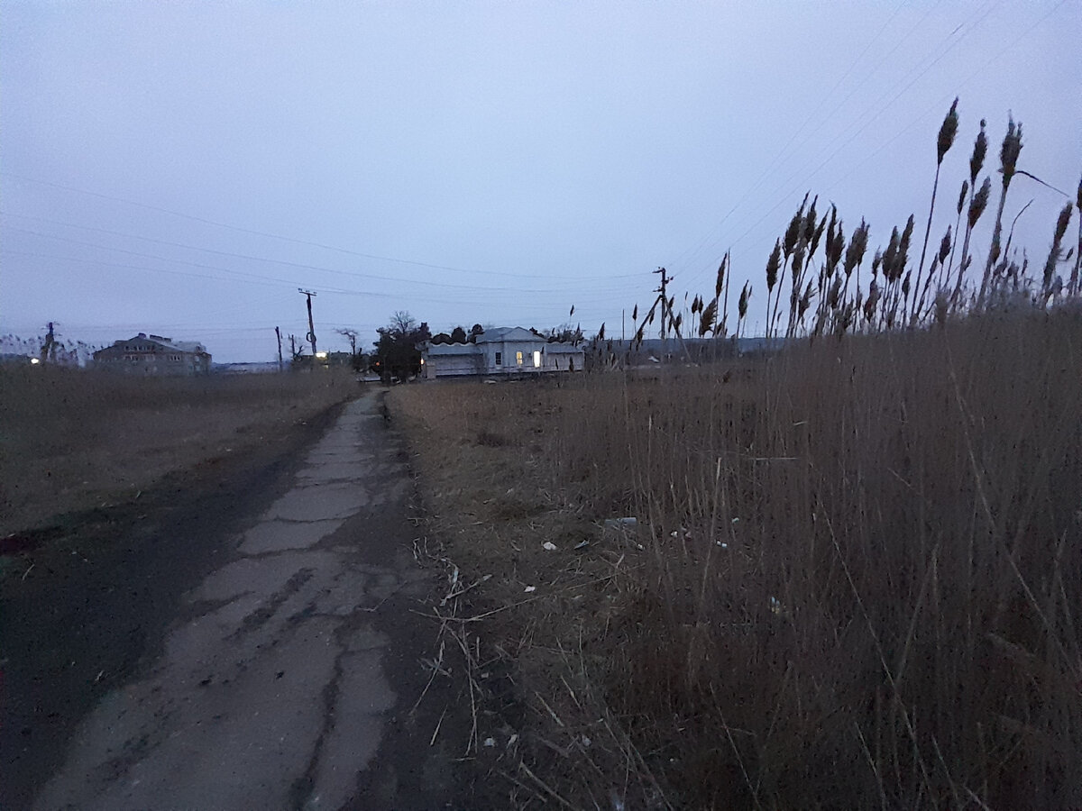 Vethelp26 дорожная ул 38 поселок змейка фото Пешком в посёлок Змейка Записки Открывающей Железноводск Дзен