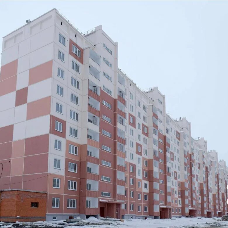 Vetkent спортивная ул 27 фото Квартира, 1 комната, от 30 до 50 м² - купить в Новосибирске, цена 1 700 000 руб.