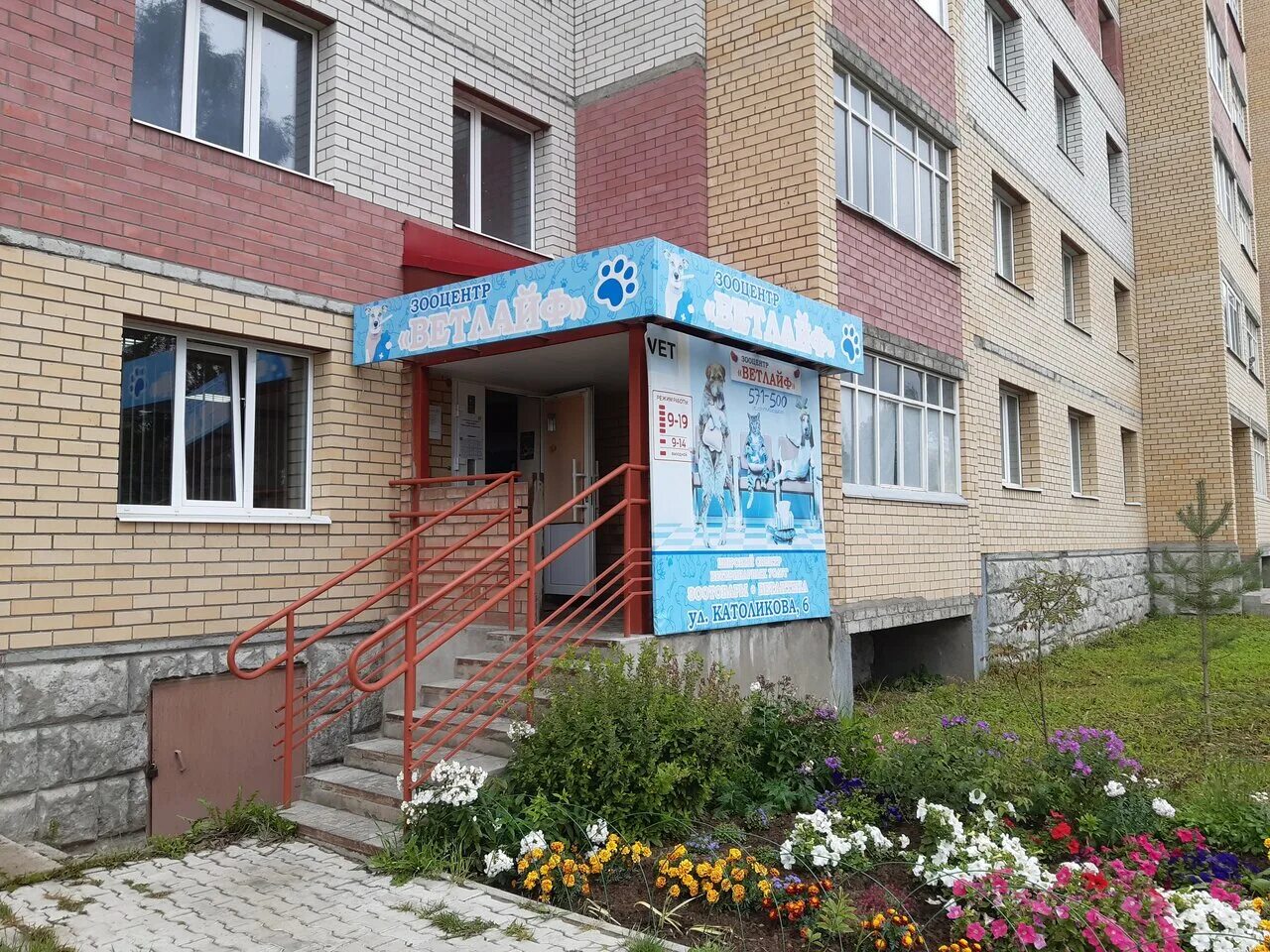 Vetlife ул петра великого 10а фото Фото: Ветлайф, ветеринарная клиника, ул. Католикова, 6, Октябрьский район, Сыкты