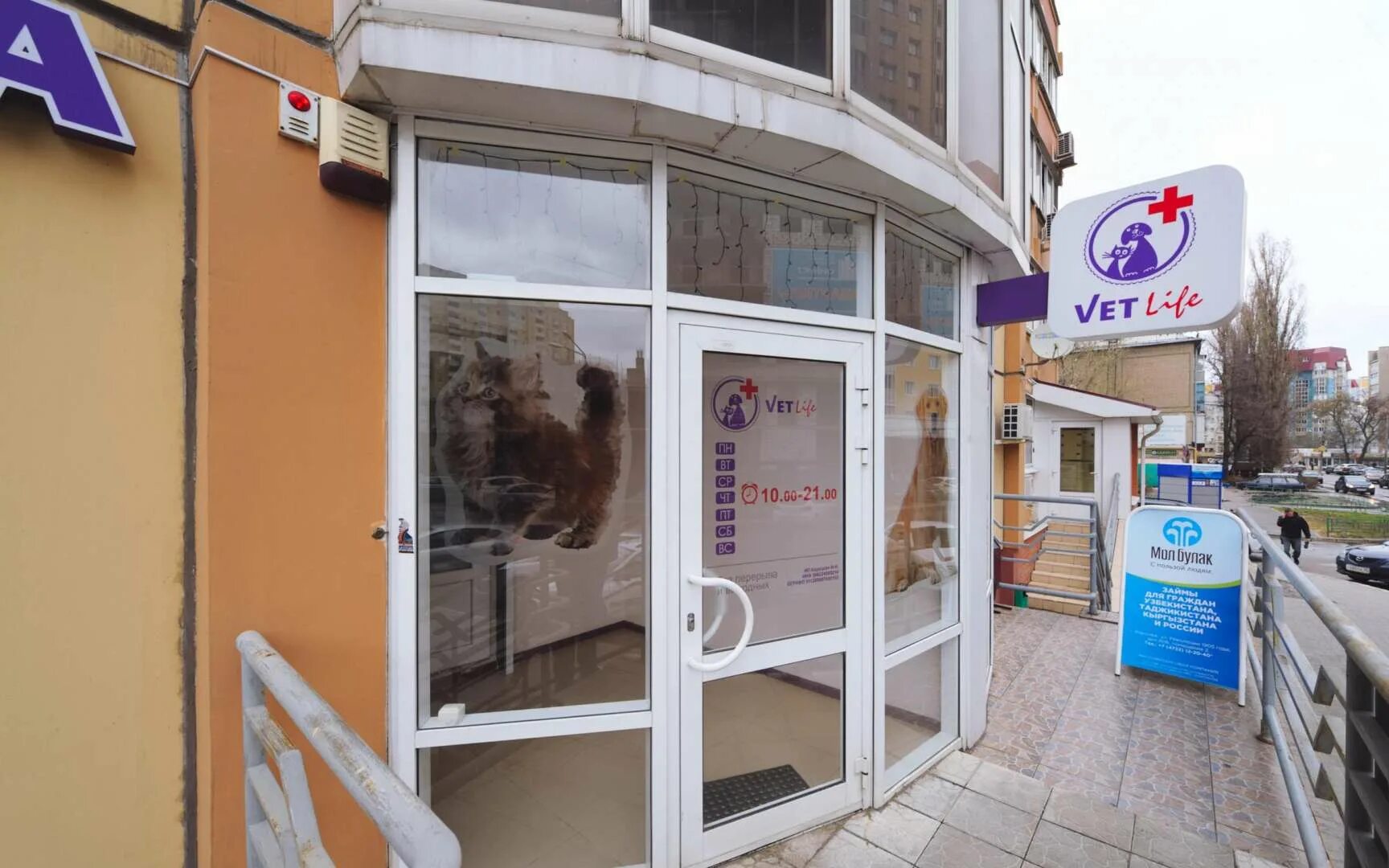 Vetlife ул петра великого 10а фото Ветлайф отрадное: найдено 77 изображений