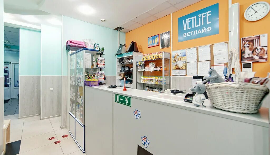 Vetlife ул петра великого 10а фото Ветлайф, ветеринарная клиника, Бескудниковский бул., 12, стр. 1, Москва - Яндекс