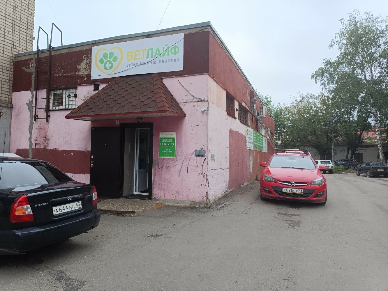 Vetlife ул петра великого 10а фото Ветлайф - новости ветеринарной клиники в Кирове, улица Карла Либкнехта, 37 - Янд