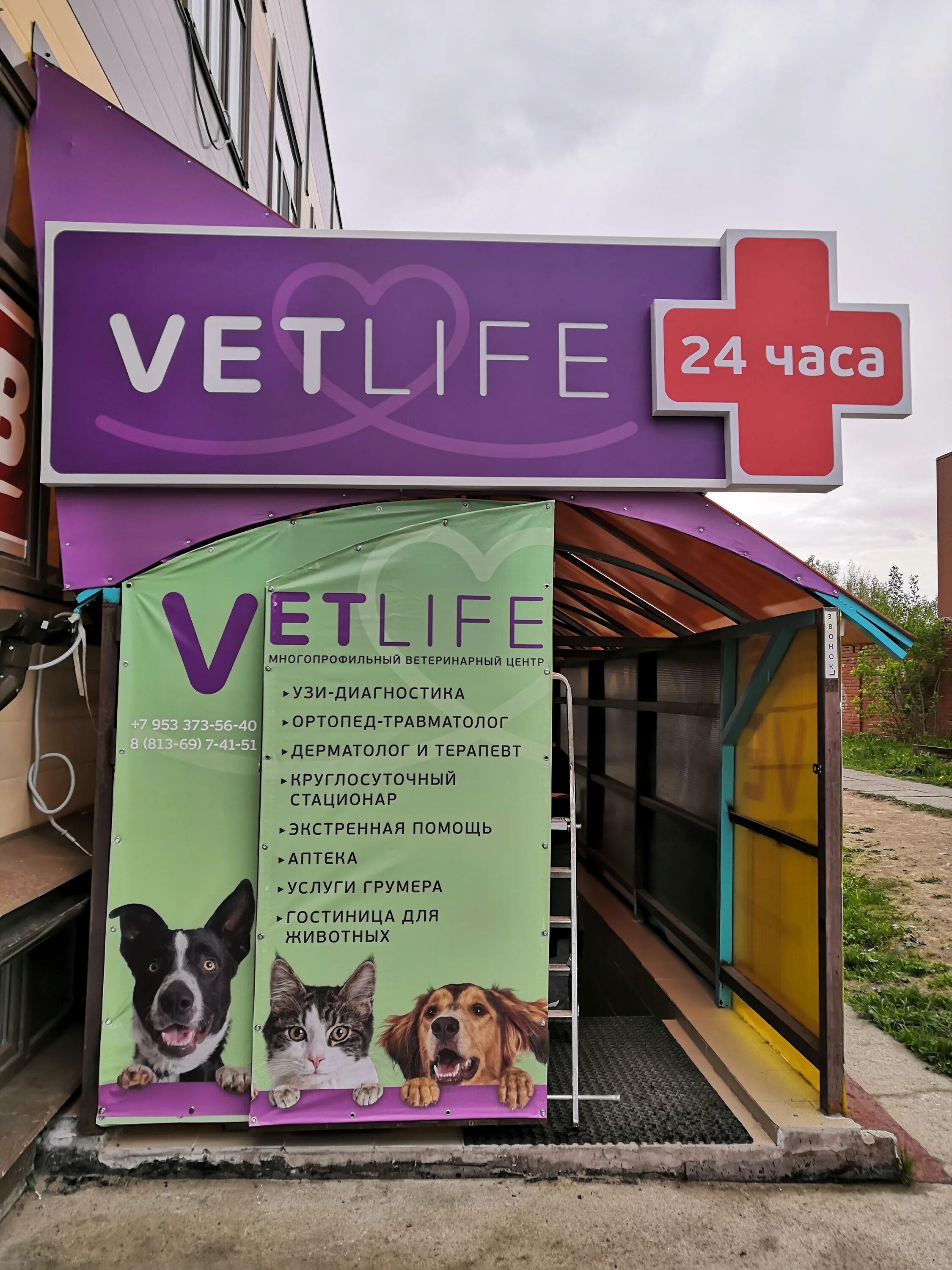 Vetlife ул петра великого 10а фото Отзывы о "Vetlife", Ленинградская область, Сосновый Бор, улица Петра Великого, 1