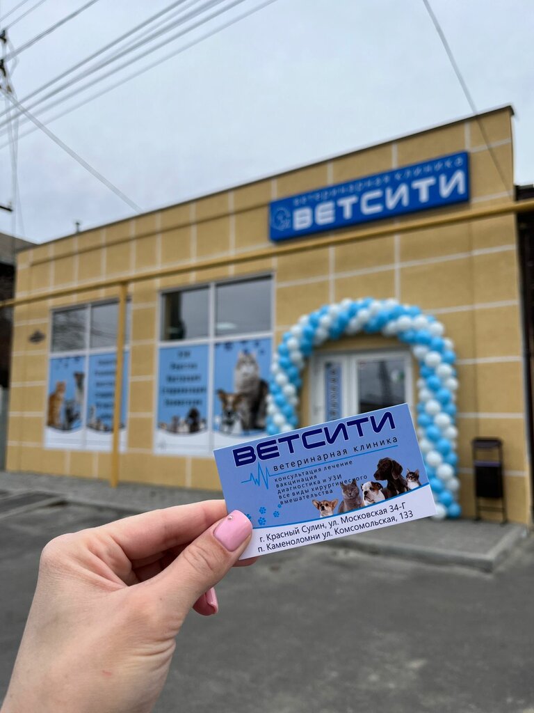 Vetsiti московская ул 34г фото Panorama: VetSiti, veterinary clinic, rabochiy posyolok Kamenolomni, Komsomolska