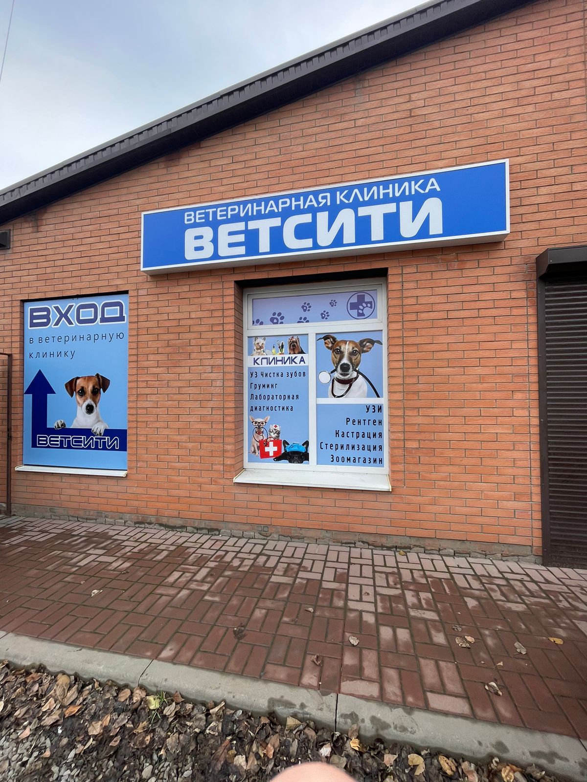 Vetsiti московская ул 34г красный сулин фото Panorama: Vetsiti, veterinary clinic, Krasniy Sulin, Moskovskaya ulitsa, 34Г - Y