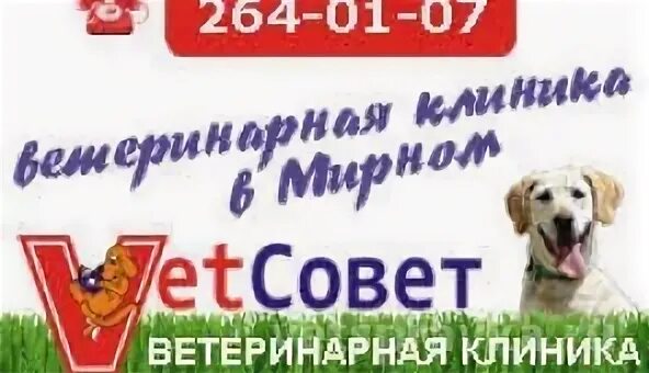 Vetсовет онежская ул 2 казань фото Ветеринарная клиника VetСовет Телефон +7 (843) 264-01-07 Отзывы на VetSpravka.ru