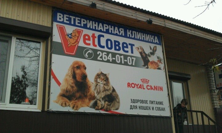 Vetсовет онежская ул 2 казань фото VetСовет, ветеринарная клиника на Онежской улице, 2а в Казани - отзывы, фото, це