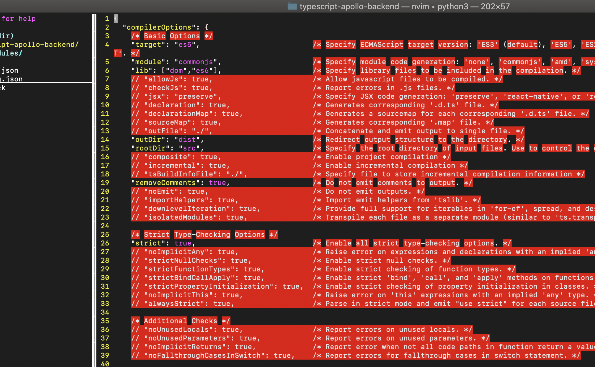 Vim s 05 230 1 проблема подключения vim syntax highlighting - Why does Vim highlight all my JSON comments in red? - 
