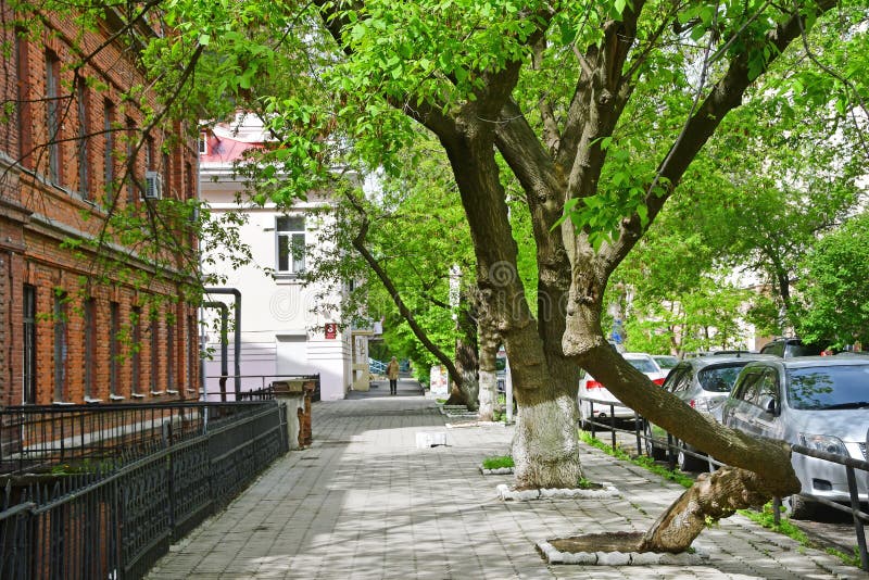 Visione пушкинская ул 55а фото Pushkinskaya Street , the Entrance To the Memorial of the Great Stock Image - Im