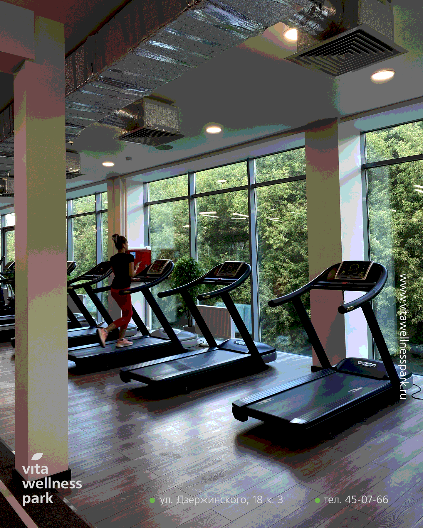 Vita wellness club ул кирова 55 фото Тренажерный зал Vita Wellness Park в Смоленске